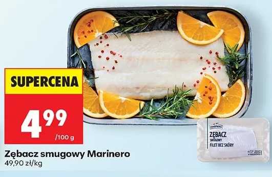 Marinero Zębacz smugowy 1 kg