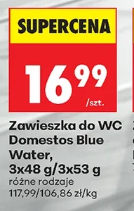 Domestos Zawieszka do WC Blue Water 3 × 48 g