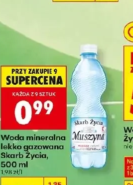 Woda mineralna lekko gazowana Skarb Życia 500 ml