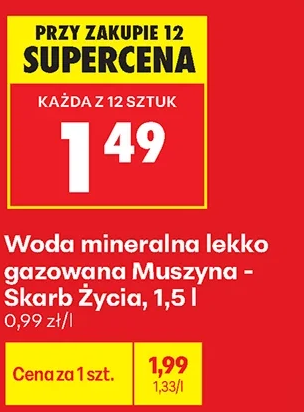 Woda mineralna lekko gazowana Muszyna - Skarb Życia 9 l