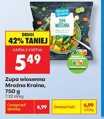 Mroźna Kraina Zupa wiosenna 750 g