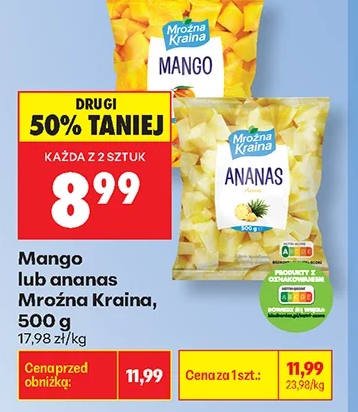 Mroźna Kraina Mango lub ananas 500 g