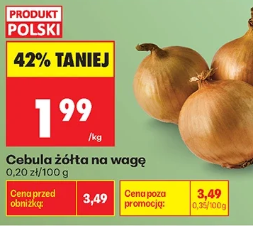 Cebula złota na wagę 1 kg