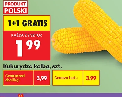 Kukurydza kolba, szt. 1 szt.