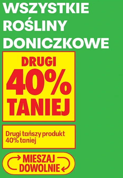 Wszystkie rośliny doniczkowe