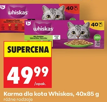 Whiskas Karma dla kota 40 × 85 g