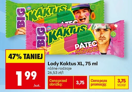 Kaktus Lody XL 75 ml