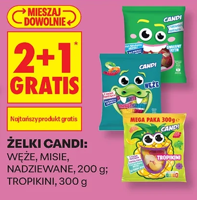 Żelki Candi: węże, misie, nadziewane i tropikini