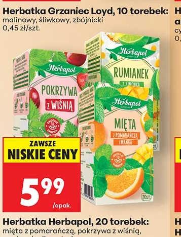 Herbapol Herbatka 1 szt.