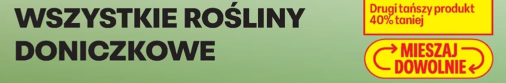 Wszystkie rośliny doniczkowe