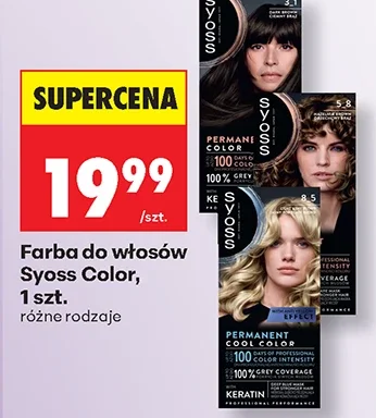 Syoss Farba do włosów Color 1 szt.