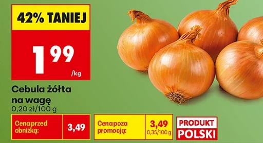 Cebula złota na wagę 1 kg