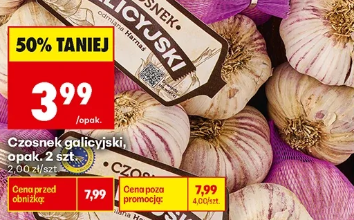 Czosnek galicyjski 2 szt.