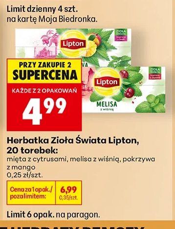 Lipton Herbatka Zioła Świata 1 szt.