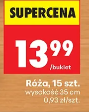 Róża 15 szt.