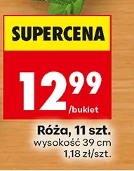 Róża wysokość 39 cm 11 szt.