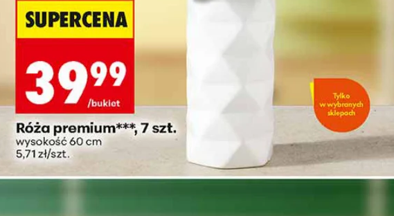 Róża premium 7 szt.