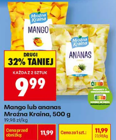 Mroźna Kraina Mango lub ananas 500 g