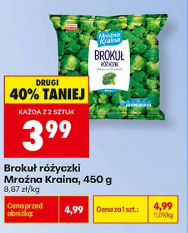 Mroźna Kraina Brokuł różyczki 450 g