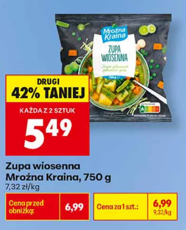 Mroźna Kraina Zupa wiosenna 750 g