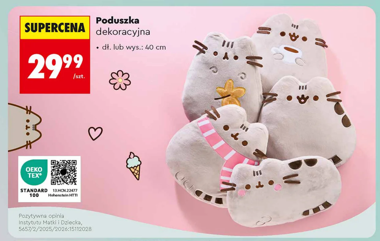 Poduszka dekoracyjna