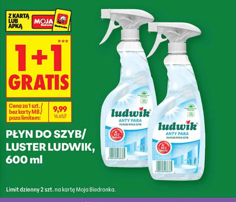 Płyn do szyb i luster Ludwik, 600 ml