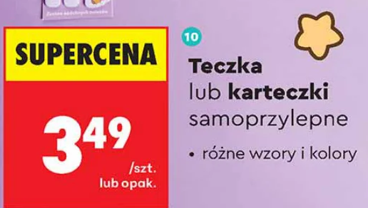 Pusheen Teczka lub karteczki samoprzylepne