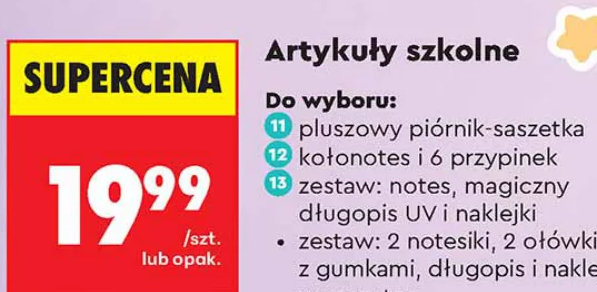 Pusheen Kotonotes i 6 przypinek