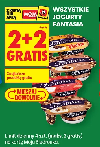 Wszystkie jogurty Fantasia