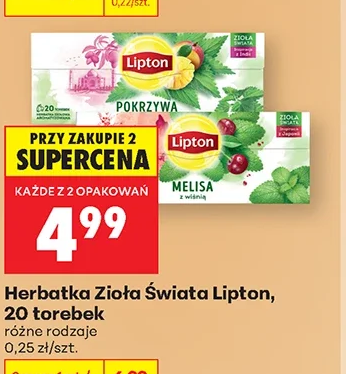 Lipton Herbata Zioła Świata 1 szt.